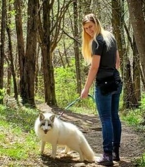 A photo of a woman with blonde hair standing in the woods with a pet marble fox on a leash