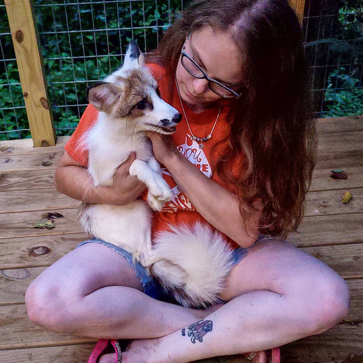 A photo of a woman with glasses and brown hair wearing an orange shirt sitting cross legged on a wooden platform and holding a pet red fox with an orange marble coat