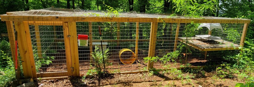 a photo of an outdoor pet bobcat enclosure made of wood and welded wire located in the woods at exotic pet wonderland, an animal sanctuary in tennessee