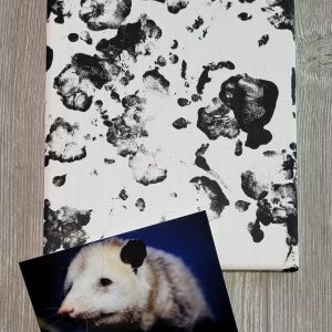 A photo of a white canvas with black opossum foot prints, in front of the canvas is a 4x6 photo of a pet opossum in front of a blue background