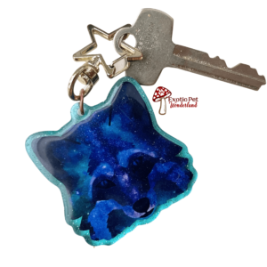 A photo of a blue holographic fox keychain with a star shaped keyring