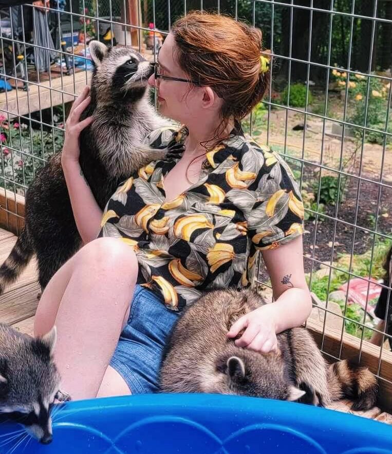 A photo of a woman with red hair and glasses wearing a banana print Hawaiian shirt and jean shorts sitting on the floor of a raccoon enclosure petting two raccoons on either side of her while a third raccoon looks into a plastic kiddy pool