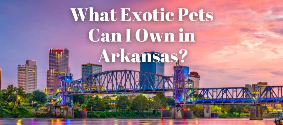 A photo of Arkansas that says "What exotic pets can I own in Arkansas?"