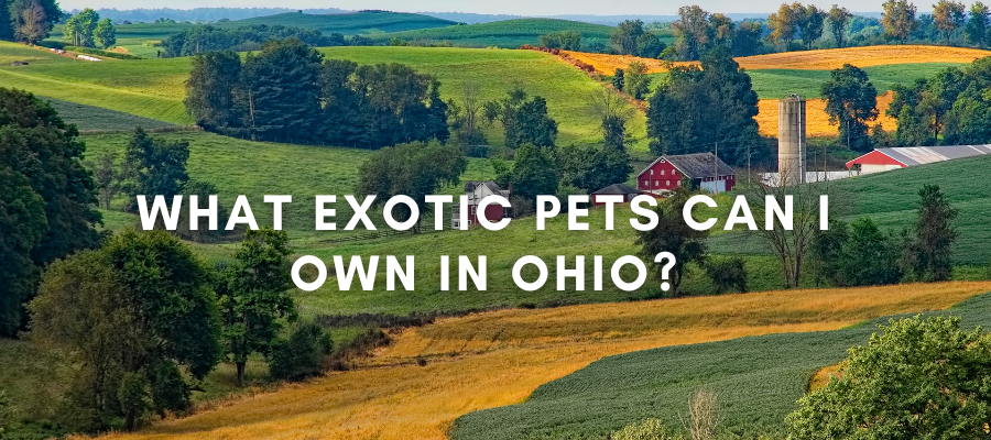 A photo of a farm in Ohio that says "what exotic pets can I own in Ohio?"