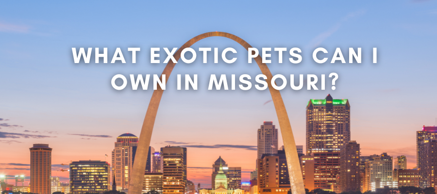 A photo of the St Louis arch in Missouri with the words "What exotic pets are legal in Missouri" over it in white text