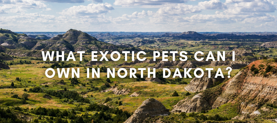 A photo of North Dakota that says "what exotic pets can I own in North Dakota?"