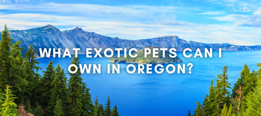 A photo of the oregon wilderness that says "What exotic pets are legal to own in oregon?"